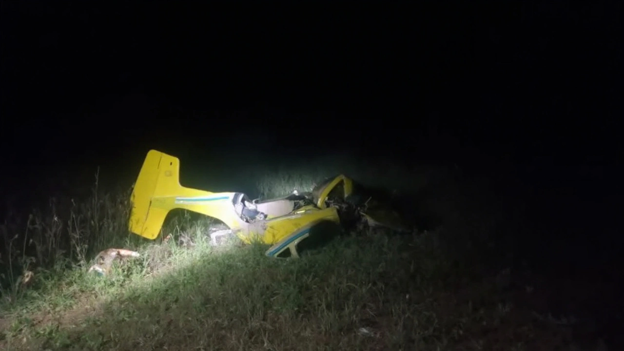 Acidente de avião no Pantanal mata arquiteto chinês Kongjian Yu e dois cineastas